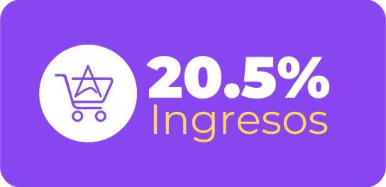 icono 20.5% ingresos