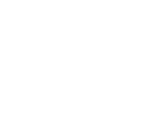 Logo de salesforce color blanco