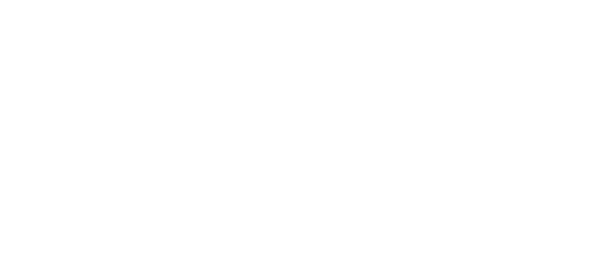 logo silk en color blanco