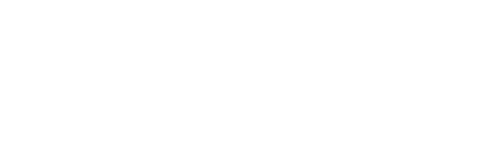 Logo Google Shooping blanco (página partners)